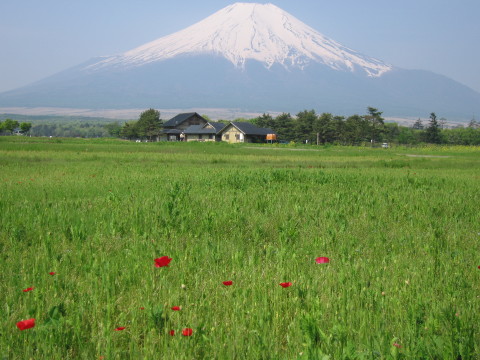 2008/05/23の写真