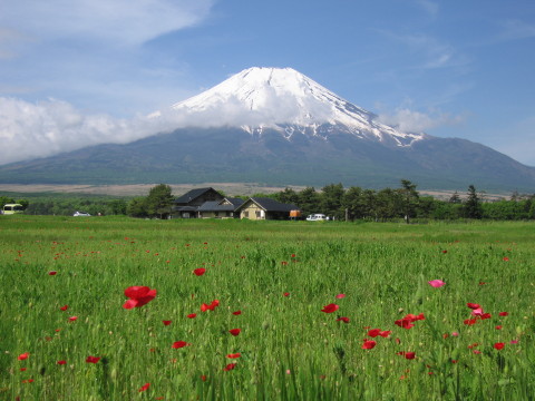 2008/05/26の写真