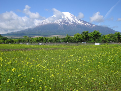 2008/06/01の写真